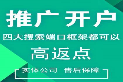 百度优化推广案例：案例分析及优化效果